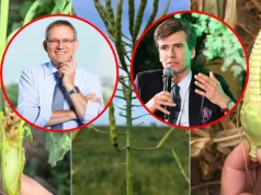 Gdy ryzyka i szkody się kumulują. Susza nieustannym wyzwaniem dla ubezpieczeń upraw rolnych