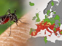 Choroby przenoszone przez komary atakują w Europie. Ostrzeżenie dla turystów