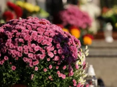 Zmarli we Wrocławiu - pogrzeby zaplanowane na 11.07.2026 – nekrologi