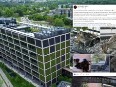 Zaskakujący gość u twórców "Wiedźmina". Interweniowała straż miejska