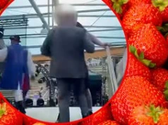 Chciał wejść na scenę. Poseł PiS starł się z ochroną