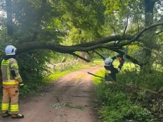 Strażacy usuwali drzewa z dróg i z dachu budynku