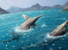 Starożytni pasjonaci paleontologii. Rzymianie zbierali szczątki ichtiozaura