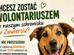 Schronisko w Zawierciu szuka wolontariuszy. W niedzielę odbędzie się nabór i szkolenie