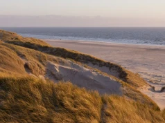Przebija „polski Dubaj” naturalnością. To największa plaża w Europie