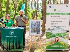 Słynny Krzywy Las dostanie „drugie życie”? Naukowcy stworzą technologię dla jego następcy