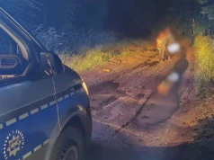 W nocy wędrowali po górach. Zgubili się, chowając przed zwierzęciem