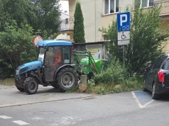Kosić czy nie kosić? Nie kończy się dyskusja nad miejską zielenią