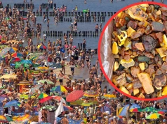 Wystarczyła jedna noc na plaży nad Bałtykiem. "To jest totalny rekord"