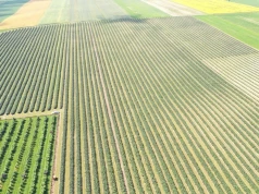 Mercosur, Ukraina, UE i Polska – jak na tle innych prezentuje się nasze rolnictwo?