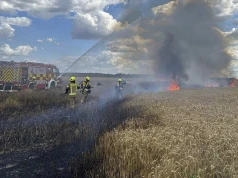 2 hektary zboża na pniu spłonęły pod Kościanem. Uratowano gospodarstwo