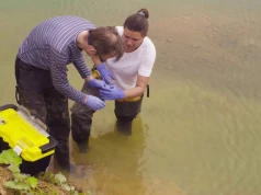 Archeolodzy odkryli 3000 zabytków w dolinie rzeki. Prawdziwa skarbnica