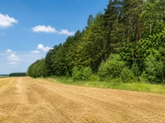 Wsparcie na zalesianie i systemy rolno-leśne. Zostało niewiele czasu