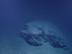 Morski śnieg i fizyka głębin. Jak ocean transportuje węgiel