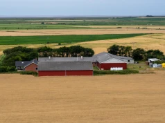 319 hektarów za 63 mln zł. Ta farma w Danii szuka nowego właściciela