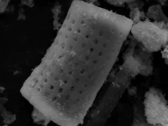 Nowa metoda na niegojące się rany? Biofilm bakteryjny kontra... eksplodujące bąbelki