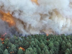 Wielki pożar niszczy lasy Fontainebleau. Spłonęło już 800 hektarów, cały rejon zamknięty