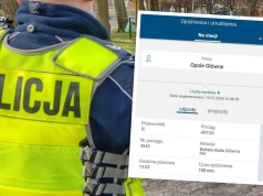 Śmiertelne potrącenie na torach pod Opolem. Duże opóźnienia pociągów