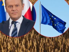 Koniec embarga na zboże z Ukrainy? Nacisk KE na Polskę