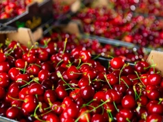 Tureckie czereśnie zalewają polski rynek. Sadownicy alarmują o presji cenowej i fałszowaniu pochodzenia owoców