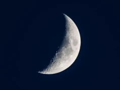 Nów Księżyca w lipcu. Dlaczego ludzie wkładają liść laurowy do portfela?