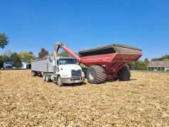 USDA: Mniejsza podaż i rosnąca konsumpcja naruszą zapasy pszenicy. W kukurydzy jeszcze większe spadki. Jaka reakcja giełdy?