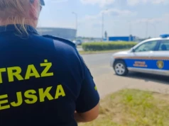 „Mucha wpadła mi do oka”, „chciałem się oświadczyć”. Tak tłumaczą się wrocławscy kierowcy