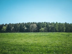 Informacje o działce - jak szybko sprawdzić wybrany teren?