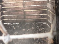 Spalona altana i uszkodzone dwa samochody – kryminalni z Pragi Północ zatrzymali podpalacza