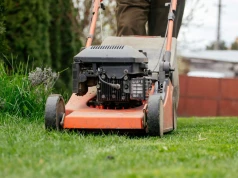 500 zł kary za skoszenie trawy. Sąsiad może wezwać służby