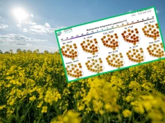 Nadchodzi kolejna fala upałów. Ekstremalne temperatury przyjdą szybciej niż sądzono. Podano konkretną datę