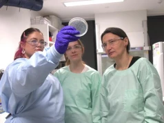 Dwa β-laktamy mogą skuteczniej hamować oporne szczepy Pseudomonas aeruginosa