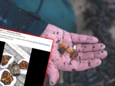 Kolejne rekordy po sztormie nad Bałtykiem. "Kilogramy bursztynu zebrane w jedną noc"