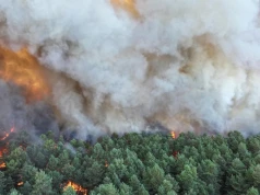 Ogień strawił tysiące hektarów Francji. Zatrzymano 59 osób