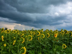 Pogoda na wtorek. Słupki temperatury w górę i ostrzeżenia przed silnym wiatrem