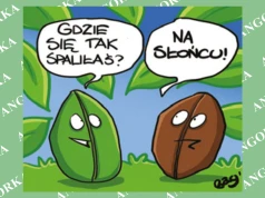 Zmiany klimatu zagrażają kawie. Naukowcy szukają ratunku dla arabiki