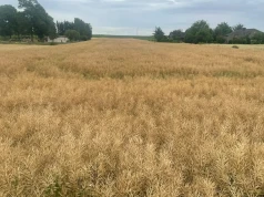Na tych polach jest lepiej niż w wielu częściach kraju