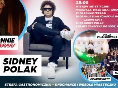 Wakacyjna impreza z mnóstwem atrakcji w Gołotczyźnie. Wystąpią m.in. Ronnie Ferrari i Sidney Polak