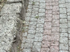 Gruba warstwa odchodów, smród i zamykane okna. Koszmar mieszkańców os. Pułaskiego i pat decyzyjny