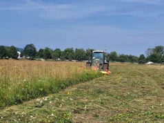 Sianokosy wróciły na krakowskie Błonia. Trawa trafi na paszę dla zwierząt (Galeria)