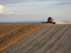 Boom na alternatywne uprawy. Niektóre zwiększyły areał nawet o 800 proc.