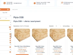 Płyta OSB – gdzie sprawdza się najlepiej i jak wybrać odpowiedni wariant?