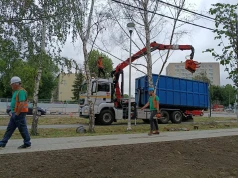 Kolejne drzewa zniknęły z Prądnika Czerwonego. Mieszkańcy: zielona okolica zamienia się w betonozę
