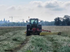Sianokosy na krakowskich Błoniach rozpoczęte. Na łąkę wyjechał sprzęt