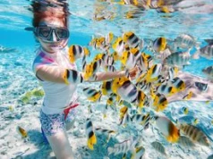 Płetwy do pływania i snorkelingu: jak wybrać odpowiedni model?