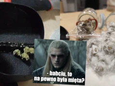 Bolesławiec: policja odwiedziła emerytkę podejrzaną o zakazane ziołolecznictwo, miała ponad 80 g marihuany