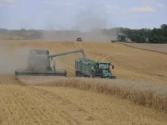 Najdroższy kombajn nic nie da, gdy ziarno nie schodzi z pola na czas