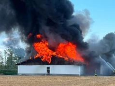 600 świń zginęło w pożarze chlewni. Tragedia tuż po przejęciu gospodarstwa