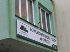 NOWE oferty pracy z PUP w Kaliszu
