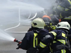 Kolejna osoba zatrzymana po pożarze lasu Fontainebleau